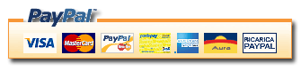 Che cos'è PayPal